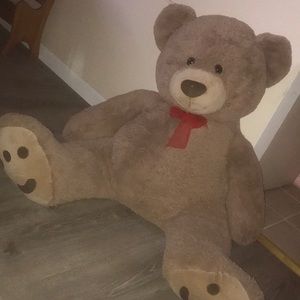 Big Stuffed Teddy Bear
